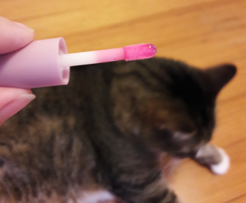 This is an image of the applicator. It's stained bright pink. Baker is laying on the floor in the background, out of focus. We keep our opened products away from the kitty here at Grumpy Skin.